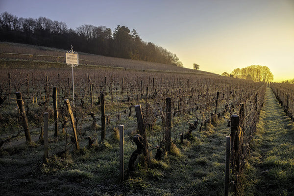 Chateau Larcis-Ducasse