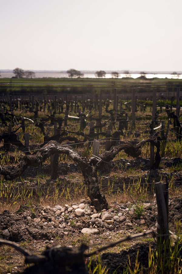 Chateau Leoville-Las Cases