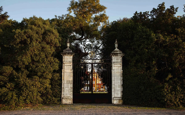Chateau Lascombes