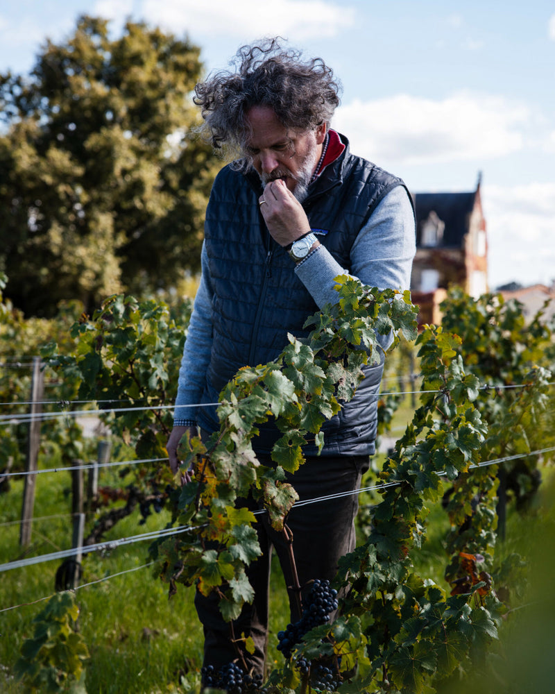 Chateau Lascombes
