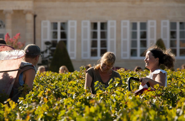 Chateau Branaire-Ducru