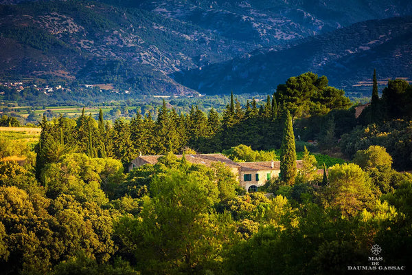 Mas de Daumas Gassac