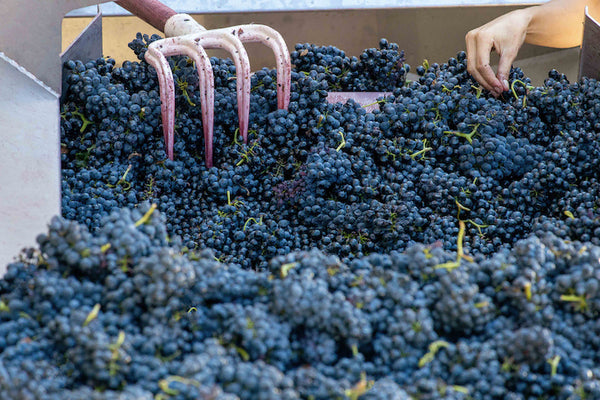 Domaine Combier