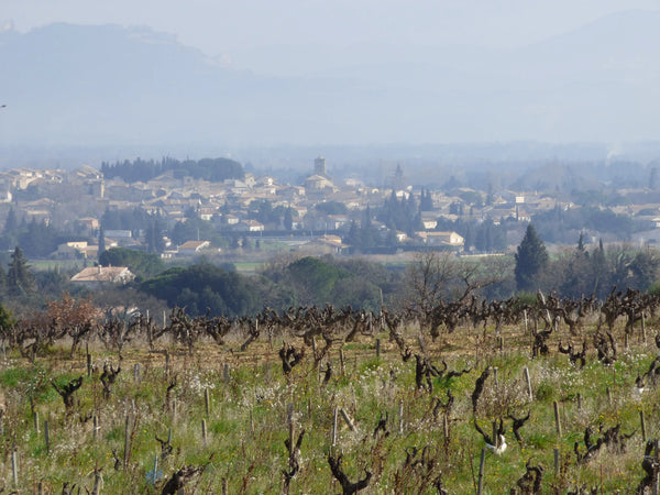 Domaine de Cristia