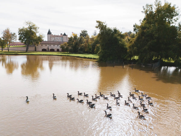Chateau Lafite Rothschild