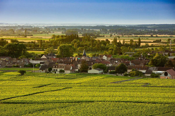 Domaine Leflaive