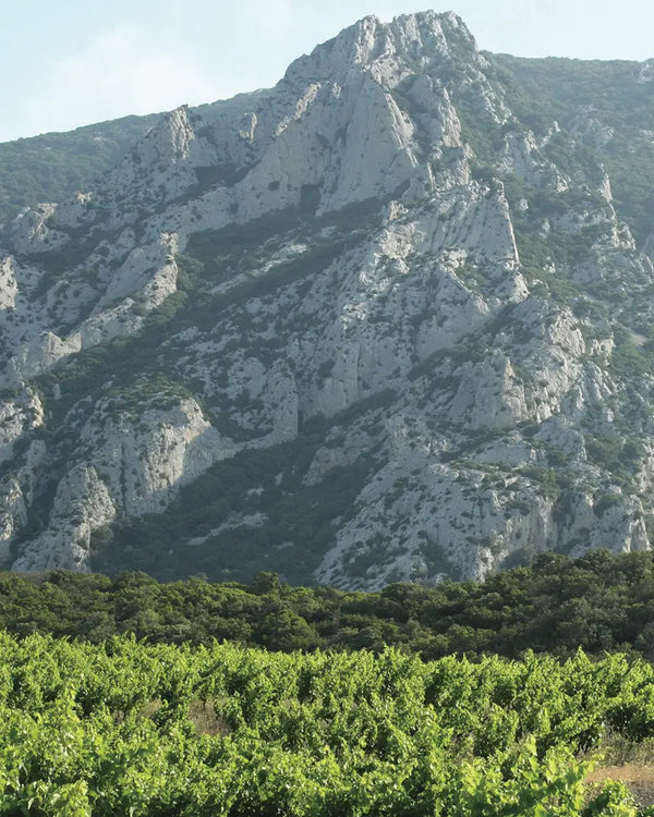 Le Roc des Anges