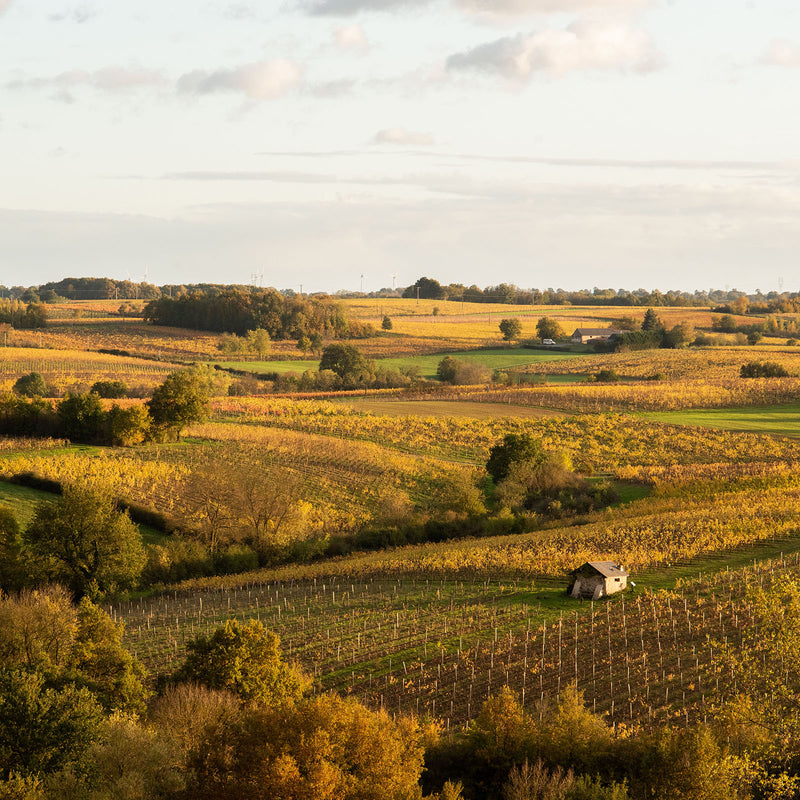Domaine Belargus