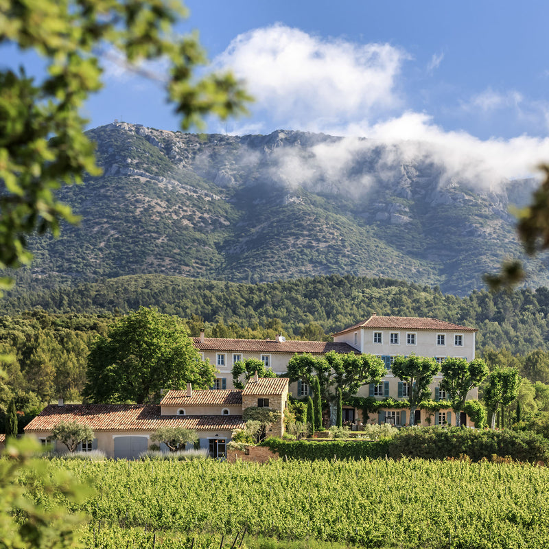 Domaine Saint Andrieu