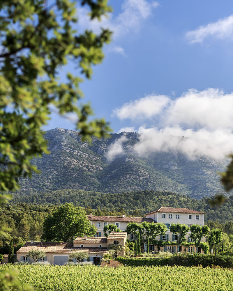 Domaine Saint Andrieu