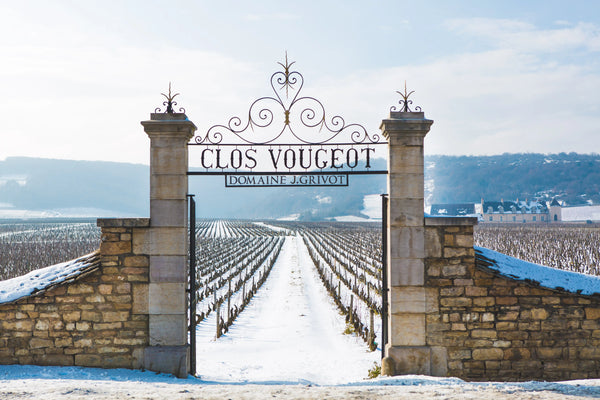 Domaine Jean Grivot