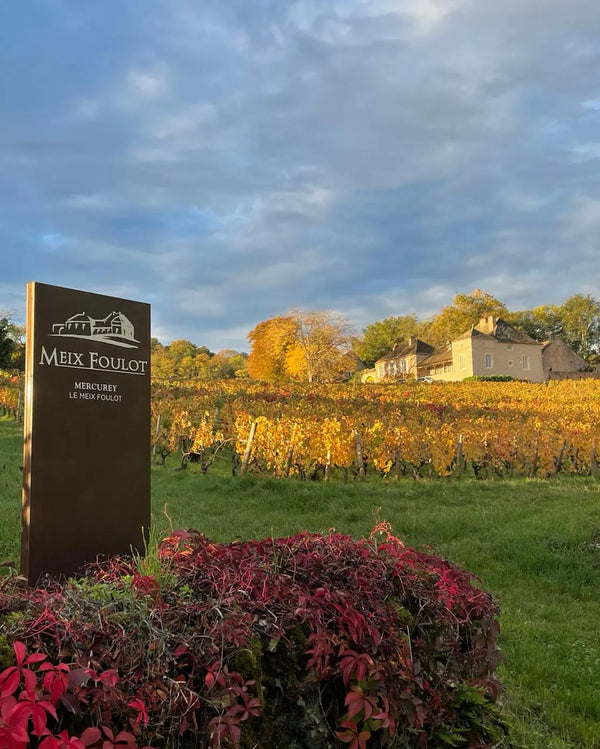 Domaine Meix-Foulot