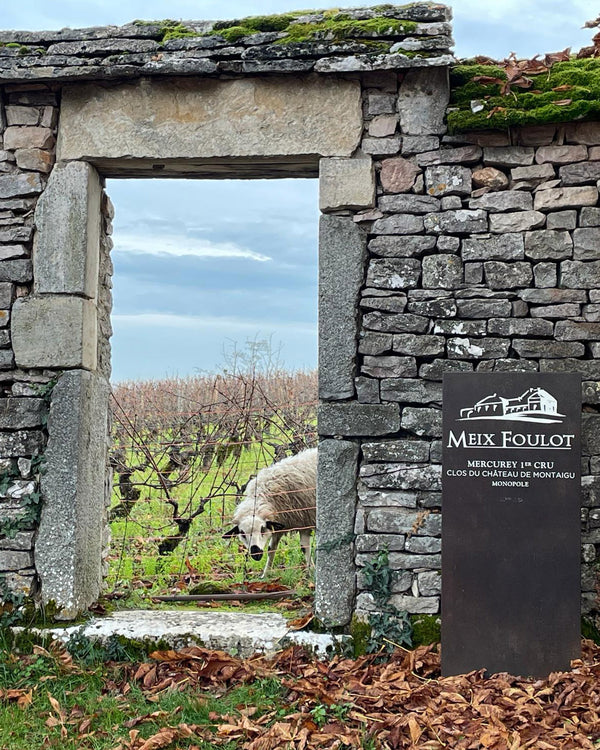 Domaine Meix-Foulot