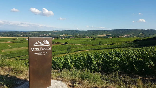 Domaine Meix-Foulot