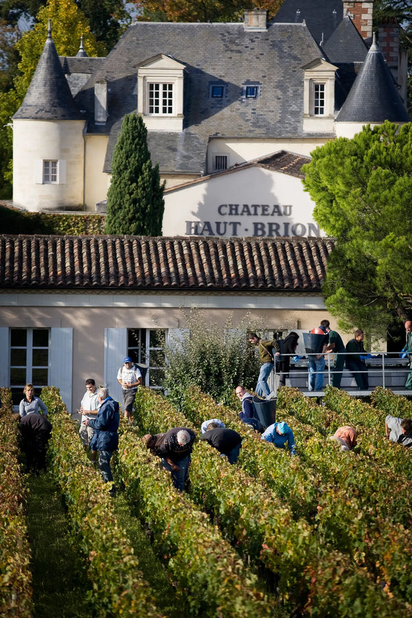 Chateau Haut-Brion