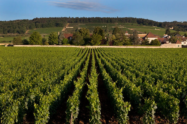Domaine Dujac