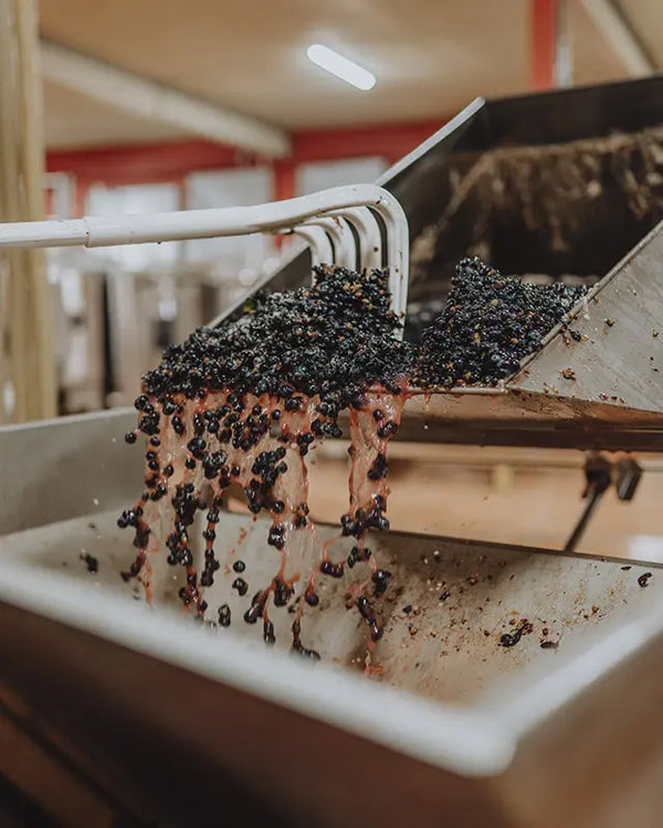 Domaine Chantal Lescure