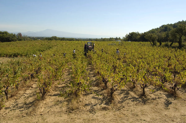 Domaine de Cristia