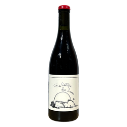 A et JF Ganevat Rouge La Colline des Dames Vin de France Jura 0