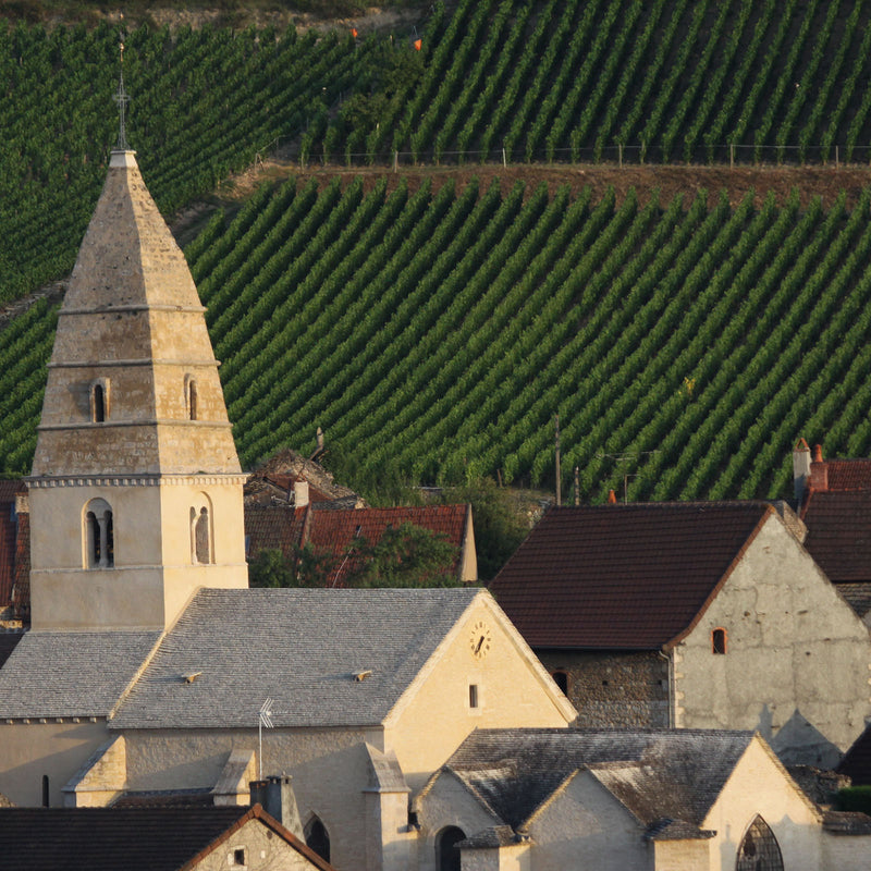 Domaine Hubert Lamy