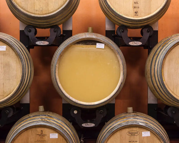 Domaine Yves Cuilleron