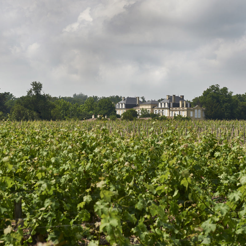 Chateau Leoville Barton