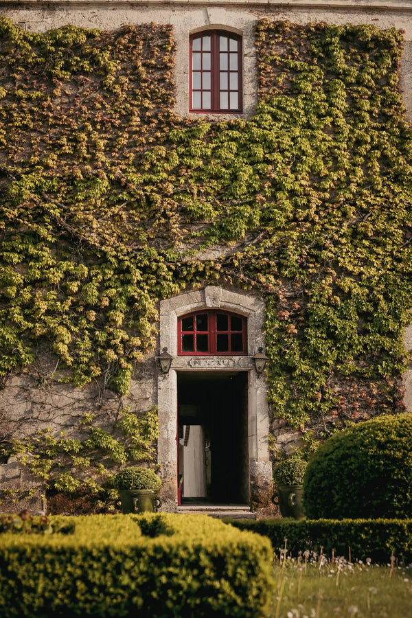 Chateau Carbonnieux