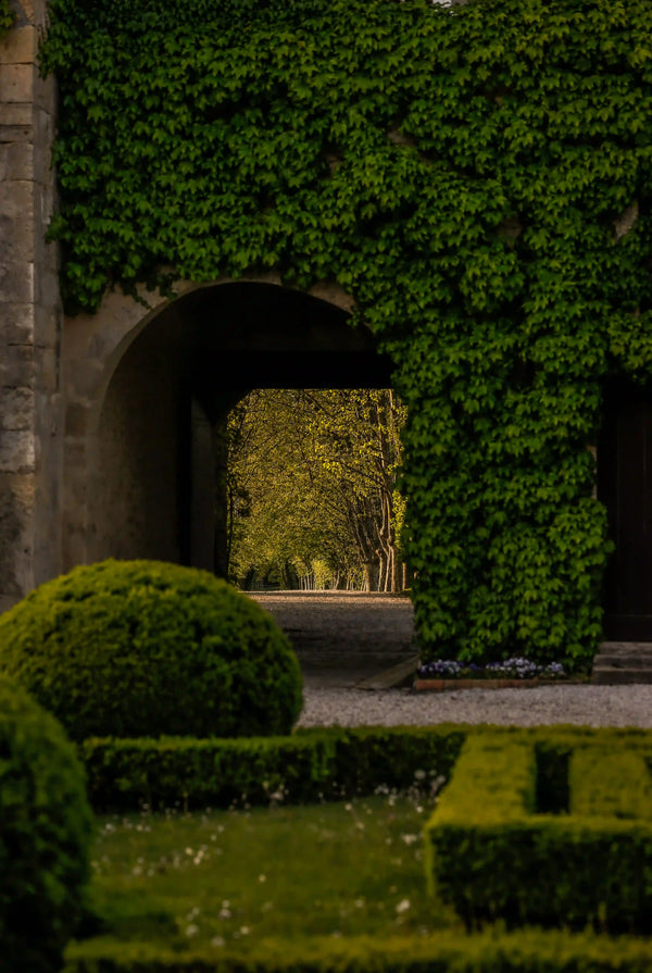 Chateau Carbonnieux