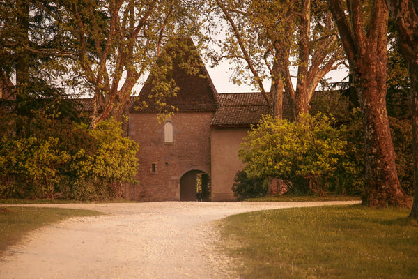Chateau Carbonnieux