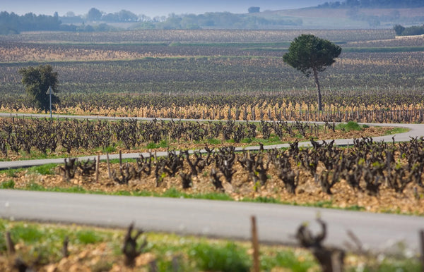 Chateau de Beaucastel
