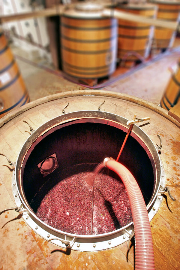 Chateau de Beaucastel