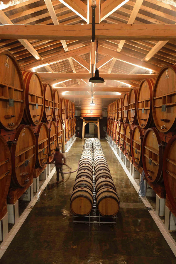 Chateau de Beaucastel