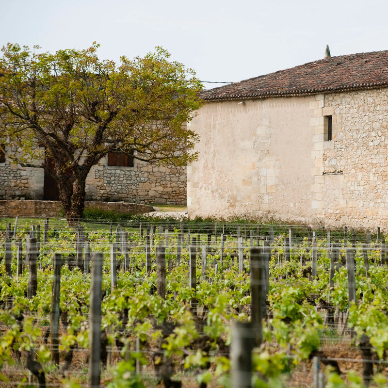 Clos de Sarpe