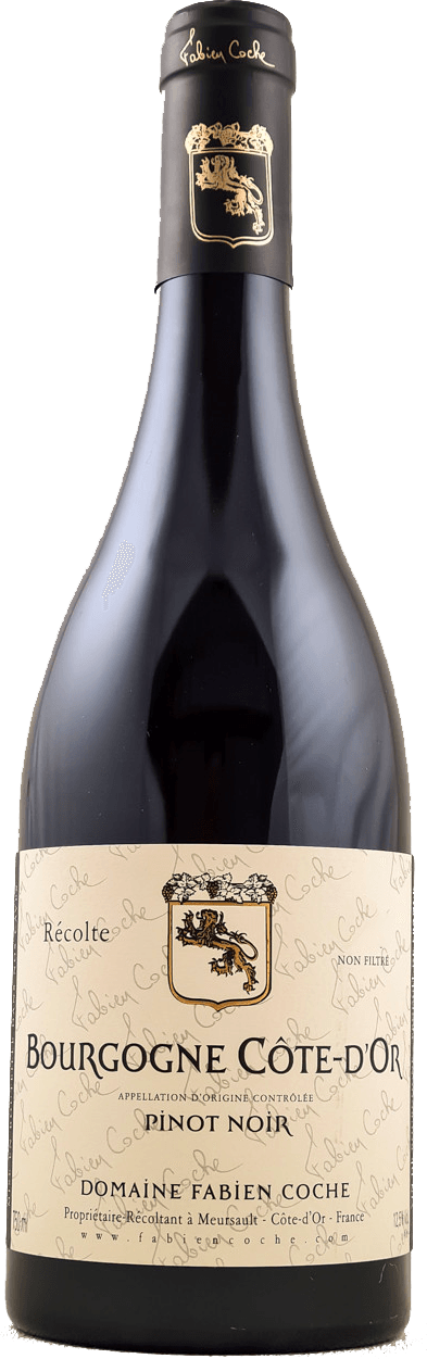 Bourgogne cote d'or pinot noir 2020 Domaine COCHE Fabien, Bourgogne rouge