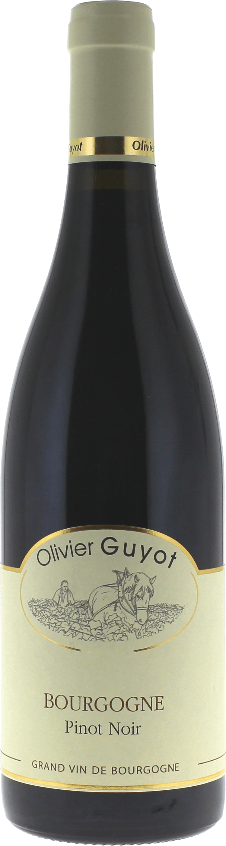 Bourgogne pinot noir 2018  GUYOT Olivier, Bourgogne rouge