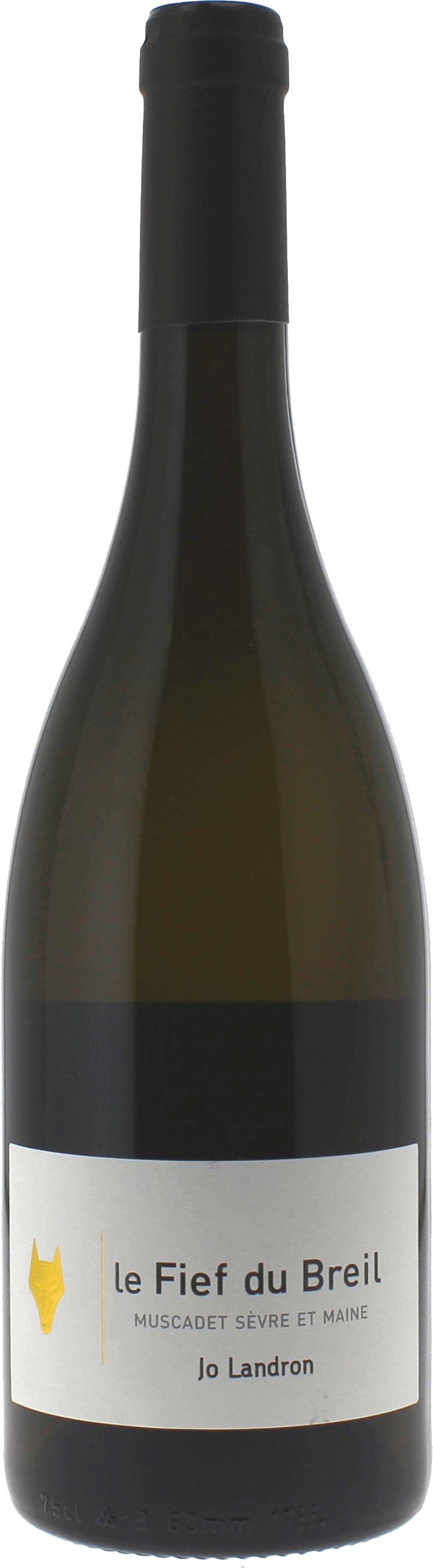 Le fief du breil domaine landron 2018  Muscadet Sevre et Maine sur Lie, Valle de la Loire