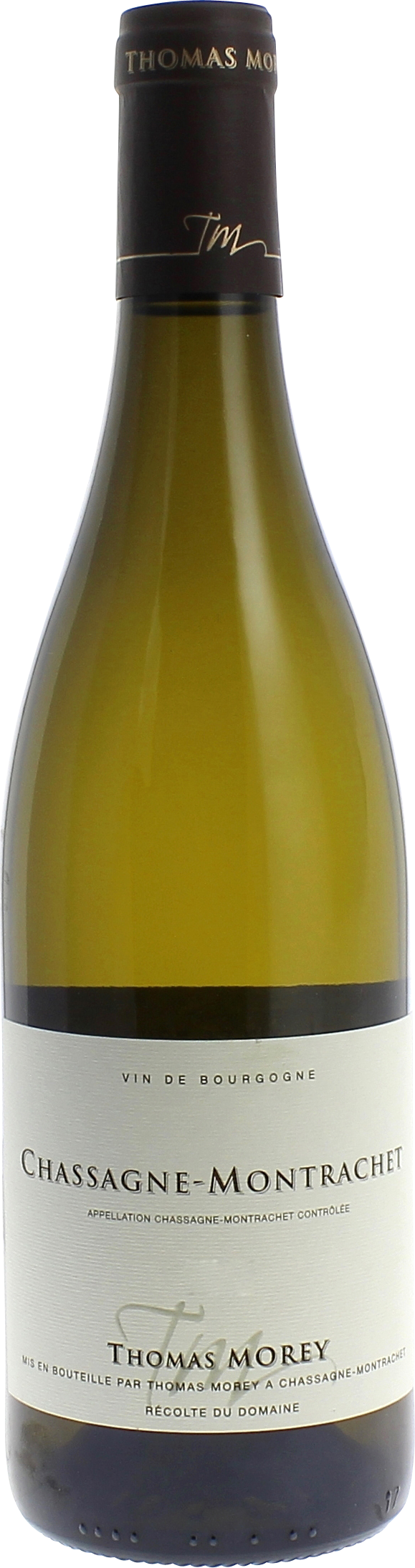 Chassagne montrachet 2023 Domaine MOREY Thomas, Bourgogne blanc