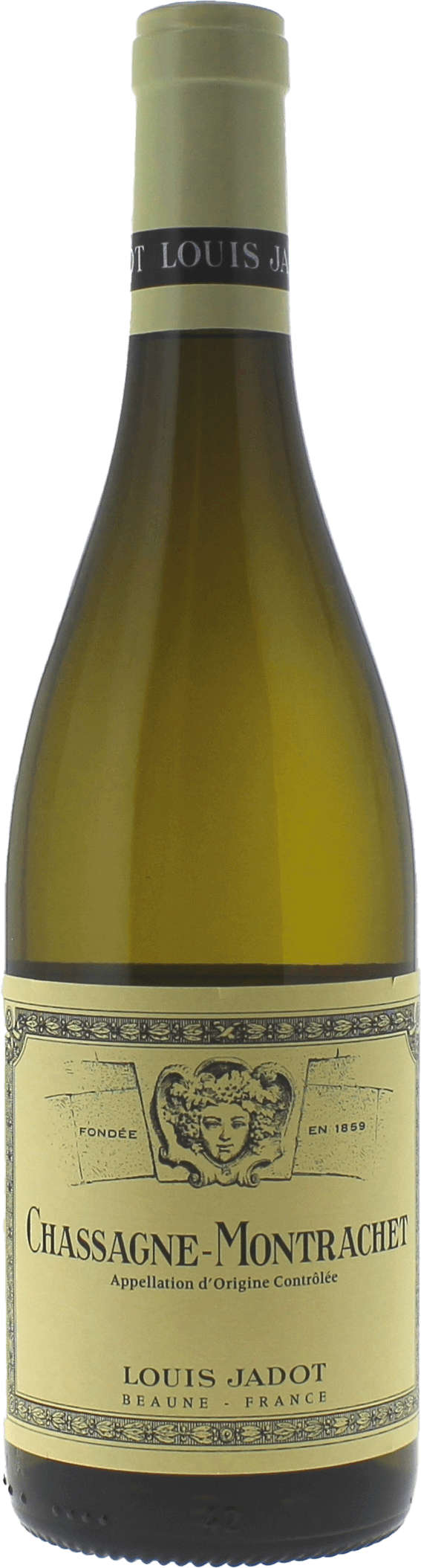 Chassagne montrachet 2023  Jadot Louis, Bourgogne blanc