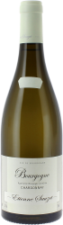 Bourgogne blanc 2023 Domaine SAUZET, Bourgogne blanc