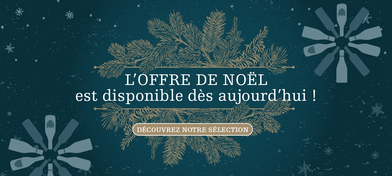 Offre de Noel 2024