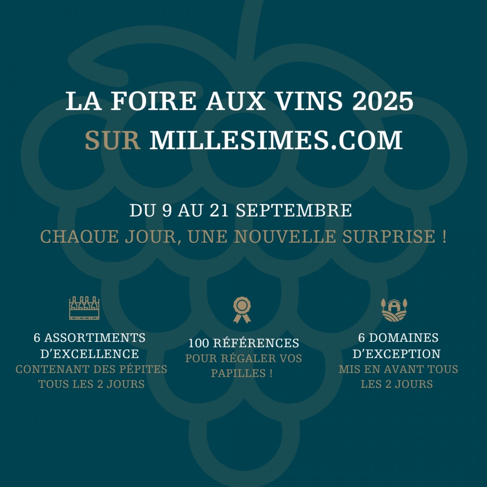 Vente de vin en ligne, vendeur de vin Millesimes.com